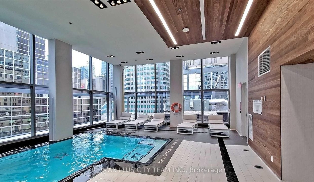 88 Scott St pool